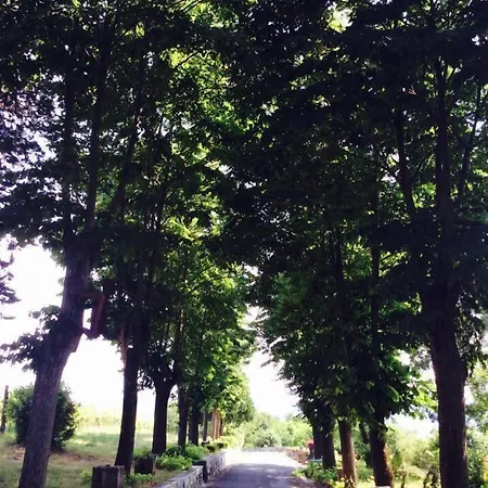 Podere Luciano Bauernhof Acqui Terme