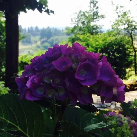 Bauernhof Podere Luciano