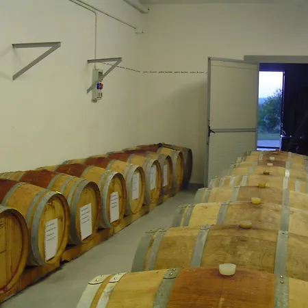 Farm stay Podere Luciano