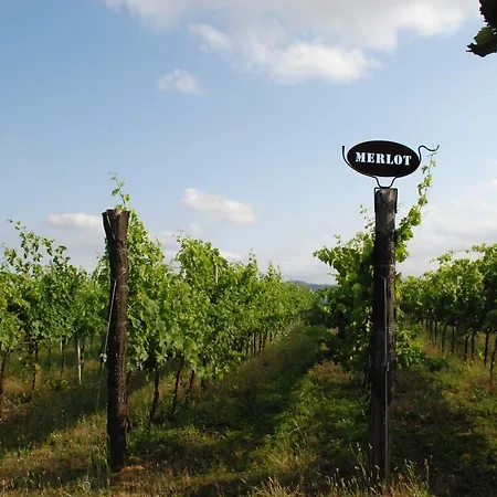 Podere Luciano Farm stay