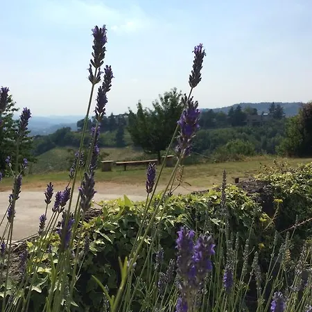 Farm stay Podere Luciano *