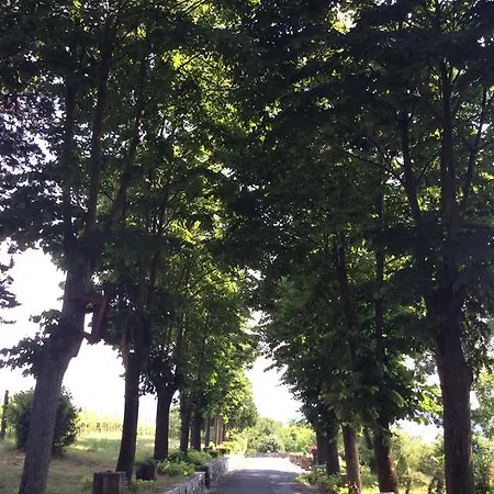 Podere Luciano Agroturismo